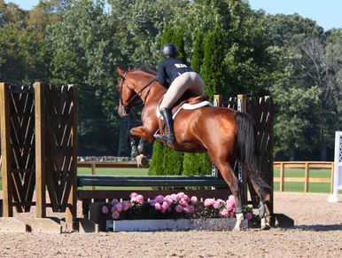 horse show with junior rider in westchester new york