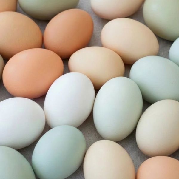 A collection of eggs in various pastel shades arranged closely together.