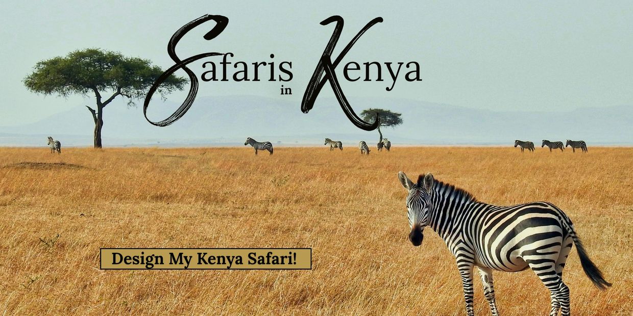 Kenya Safari 