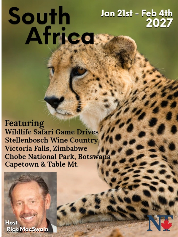 Leopard on South Africa Safari  