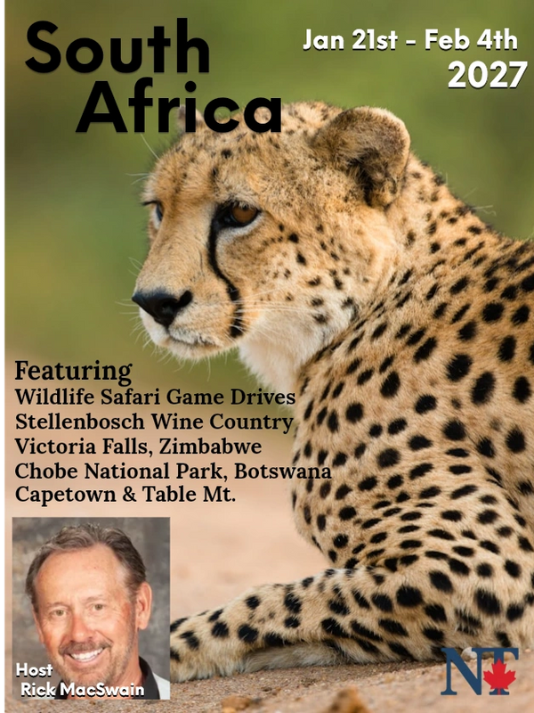 Leopard on South Africa Safari  