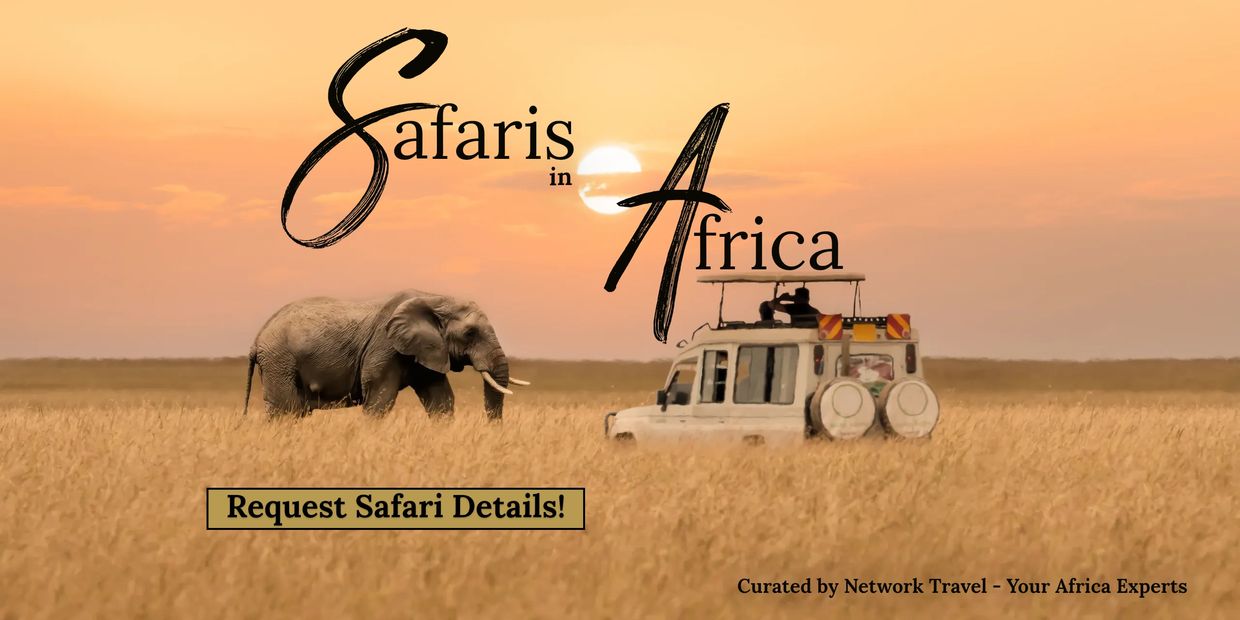 alt="Rick MacSwain leading a safari in Kenya"