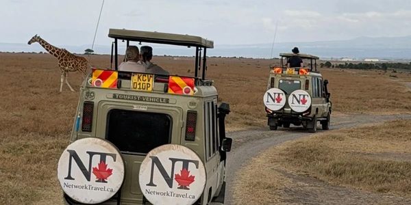 Network Travel Land Cruiser on a game drive in Kenya