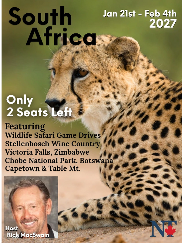 Leopard on South Africa Safari  