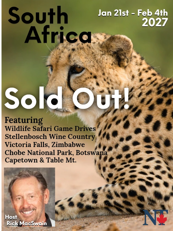 Leopard on South Africa Safari  