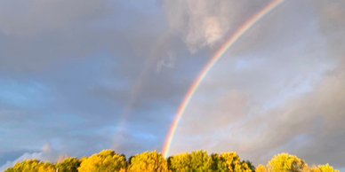 Double rainbow over trees with cloudy sky.