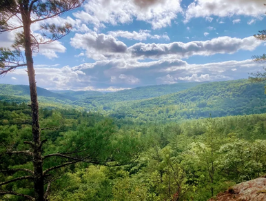 A scenic view of a lush green forest with hills under a partly cloudy sky.