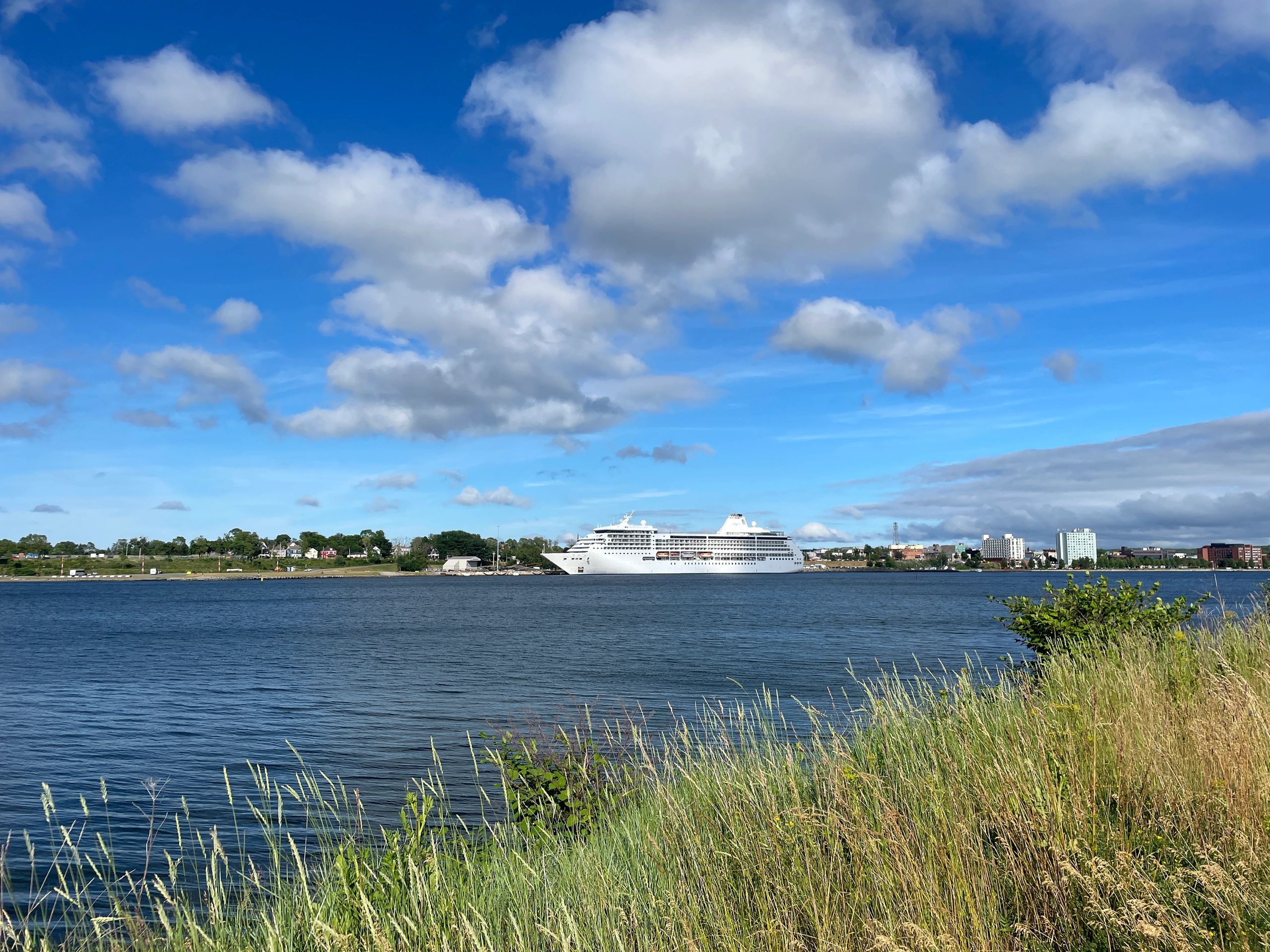 Cruise ship sailing near a town under a bright blue sky with clouds.