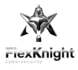 FlexKnight Systems Pte. Ltd.