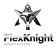 FlexKnight Systems Pte. Ltd.