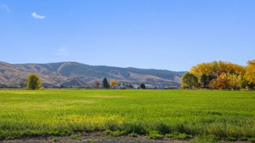 Manastash Ridge from Manastash Estates