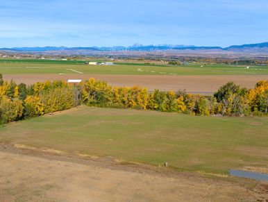 Open field bordered by trees with distant mountains.