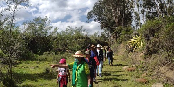 Excursión en grupo por un sendero soleado rodeado de vegetación.