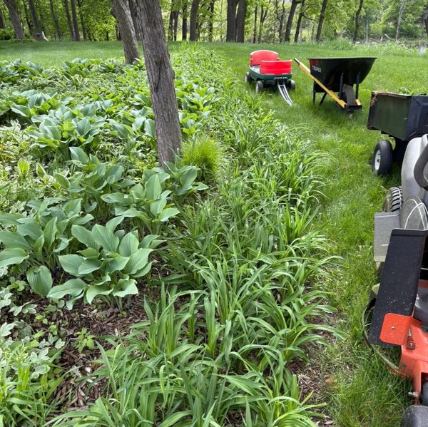 Garden Bed cleanup and plant removal by HammerTime Landscaping LLC in Stillwater, MN.