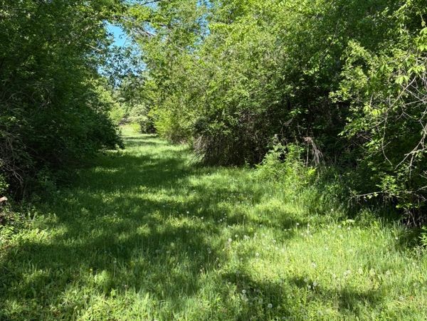 Forestry Mulching job by HammerTime Landscaping LLC in Hugo, MN.