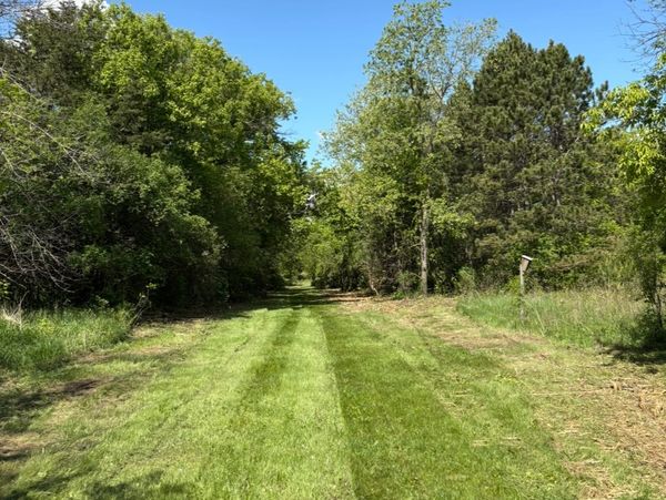Forestry Mulching job by HammerTime Landscaping LLC in Hugo, MN.