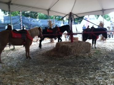 A pony sweep under a tent