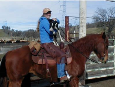 Tawni Angel riding a horse