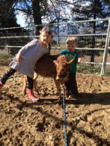 Two kids petting a goat