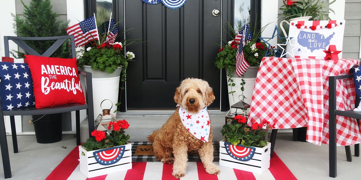 A dog sits in patriotic decor with American flags and red, white, and blue colors.