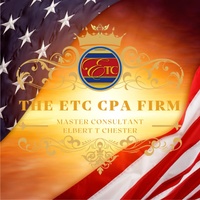 ELBERT T CHESTER CPA  MASTER CONSULTANT