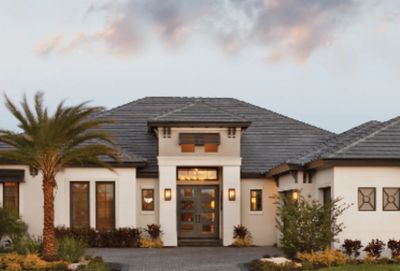 Modern house exterior with palm tree and tiled roof under a cloudy sky.