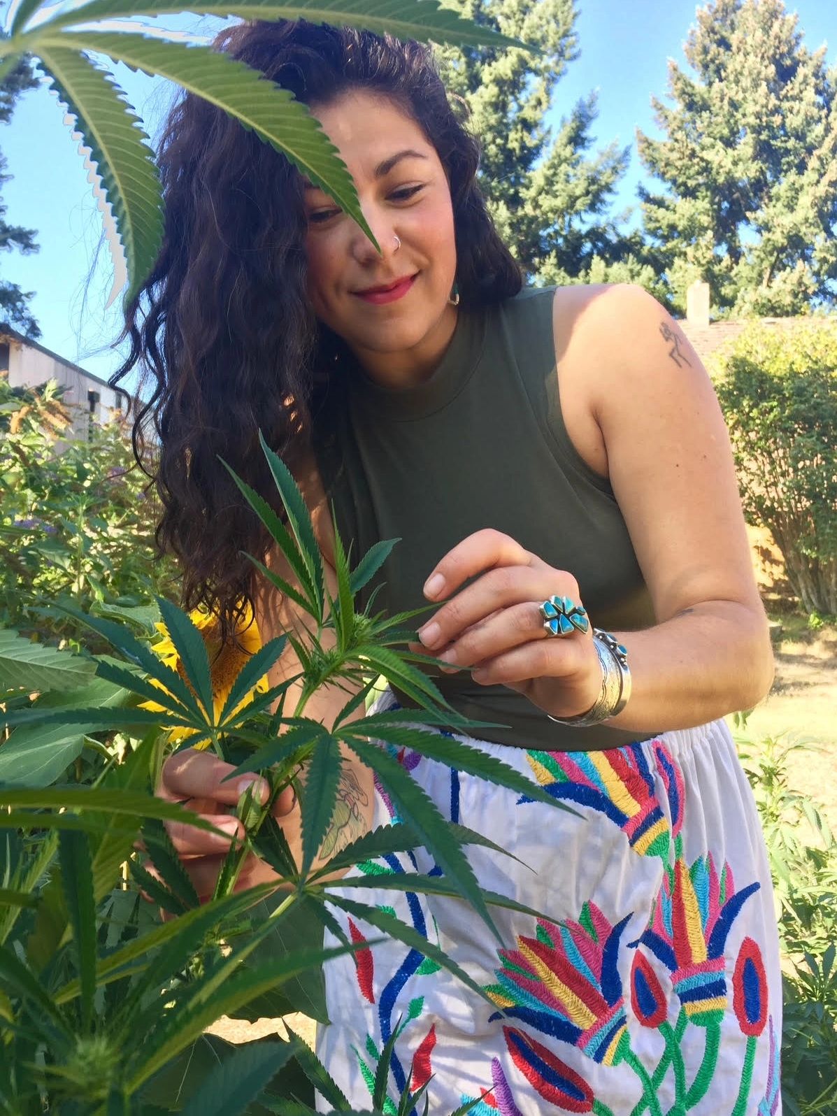 Woman tending to cannabis plants in a sunny garden.
