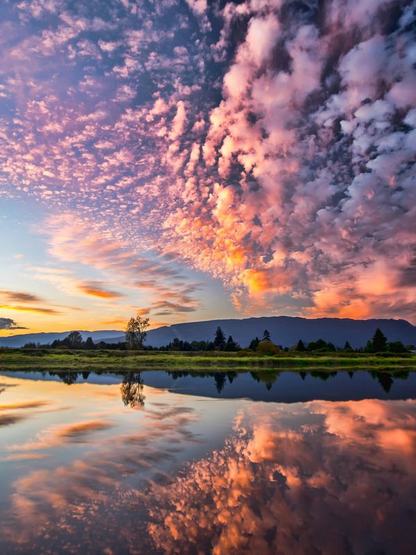  Photo by James Wheeler