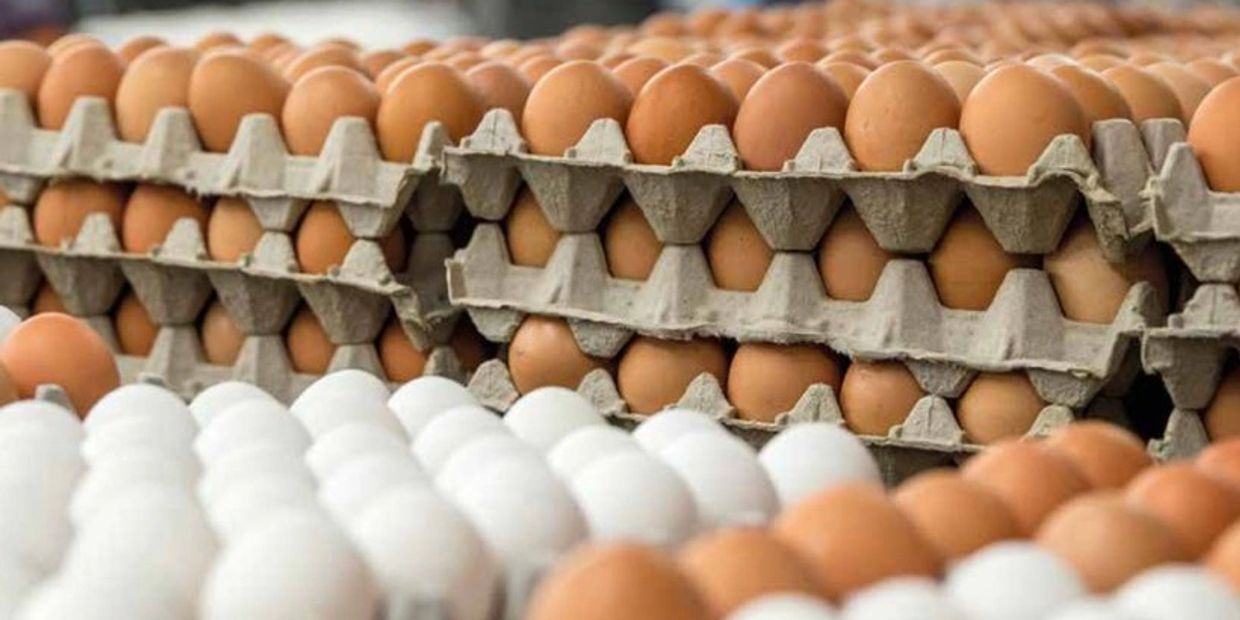 Stacks of brown and white eggs in cartons.