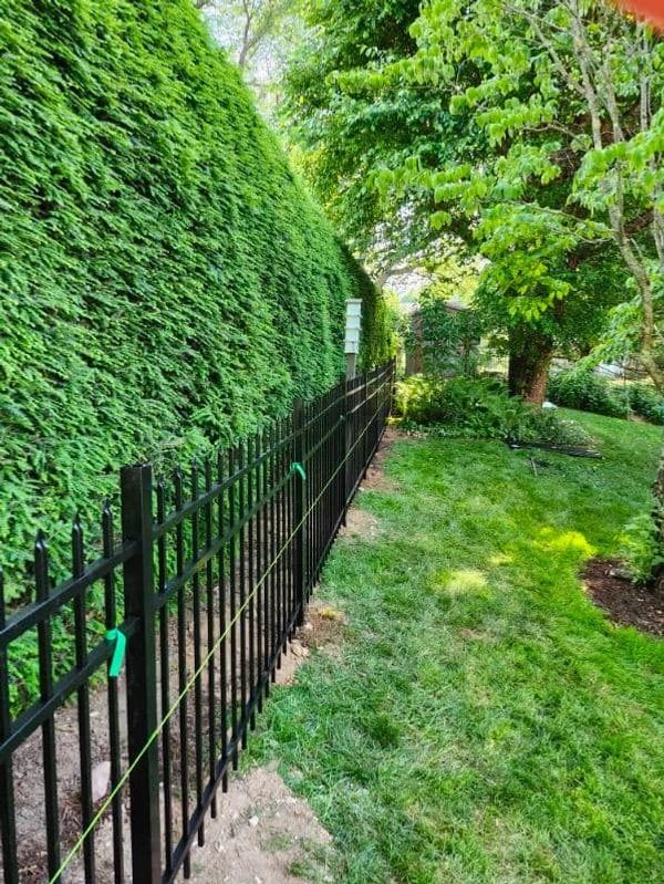 A black metal fence alongside a lush green hedge in a garden.