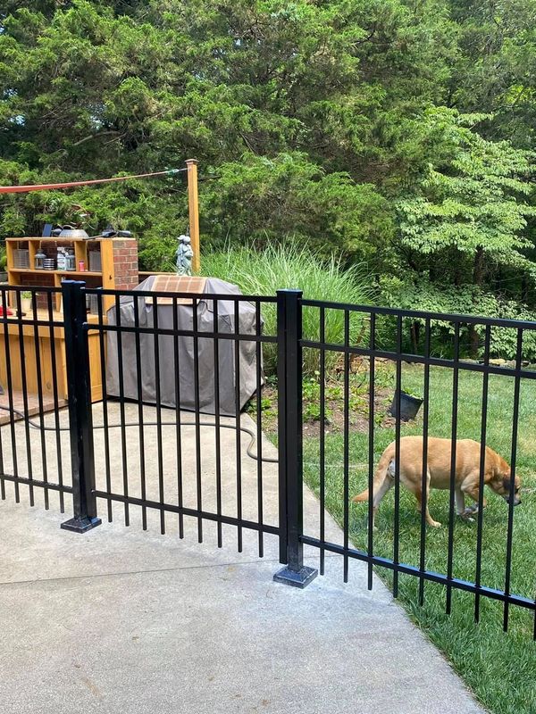 A fenced backyard with a dog walking on the grass near a patio area.