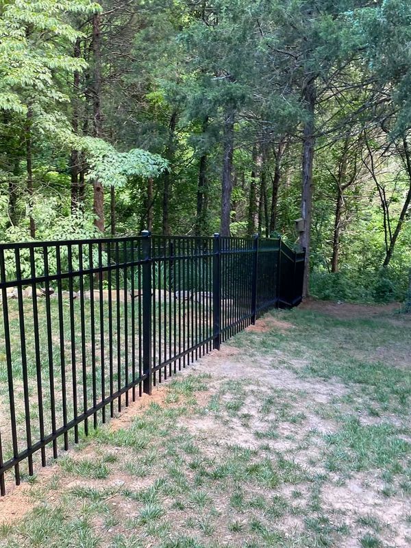 Black metal fence along a grassy yard near a wooded area.