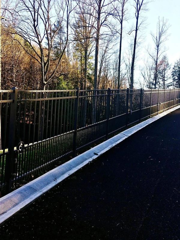 A winding road with a black metal fence alongside bare trees.