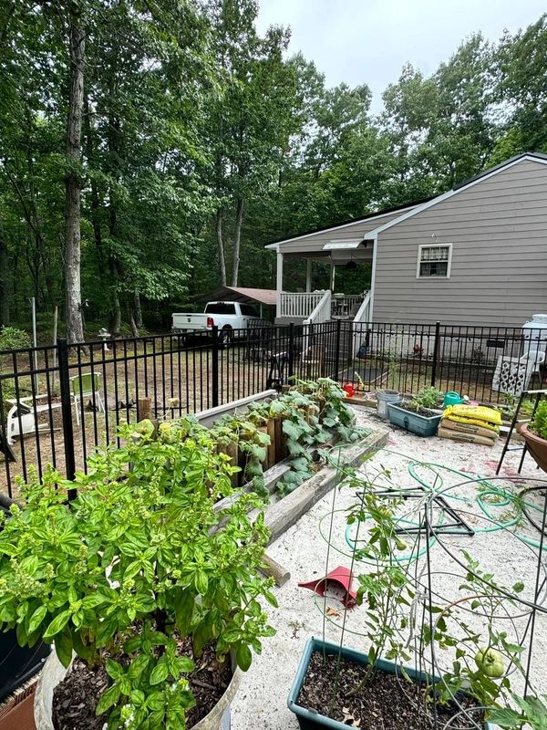 Backyard garden with plants, raised beds, and a house in the background.