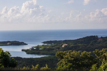 The coast of Roatan, Honduras. Lush green trees outline the calm ocean.