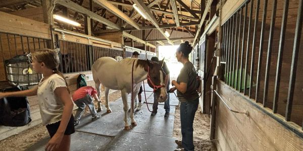 People interacting with a white horse in a stable.