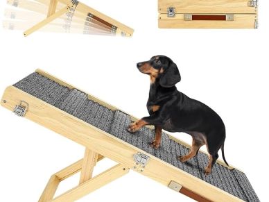 Dachshund on a dog ramp.
