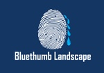 Bluethumb Landscape