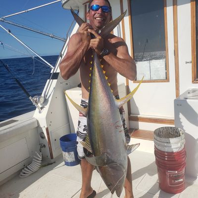 Bonaire yellowfin tuna fishing charter