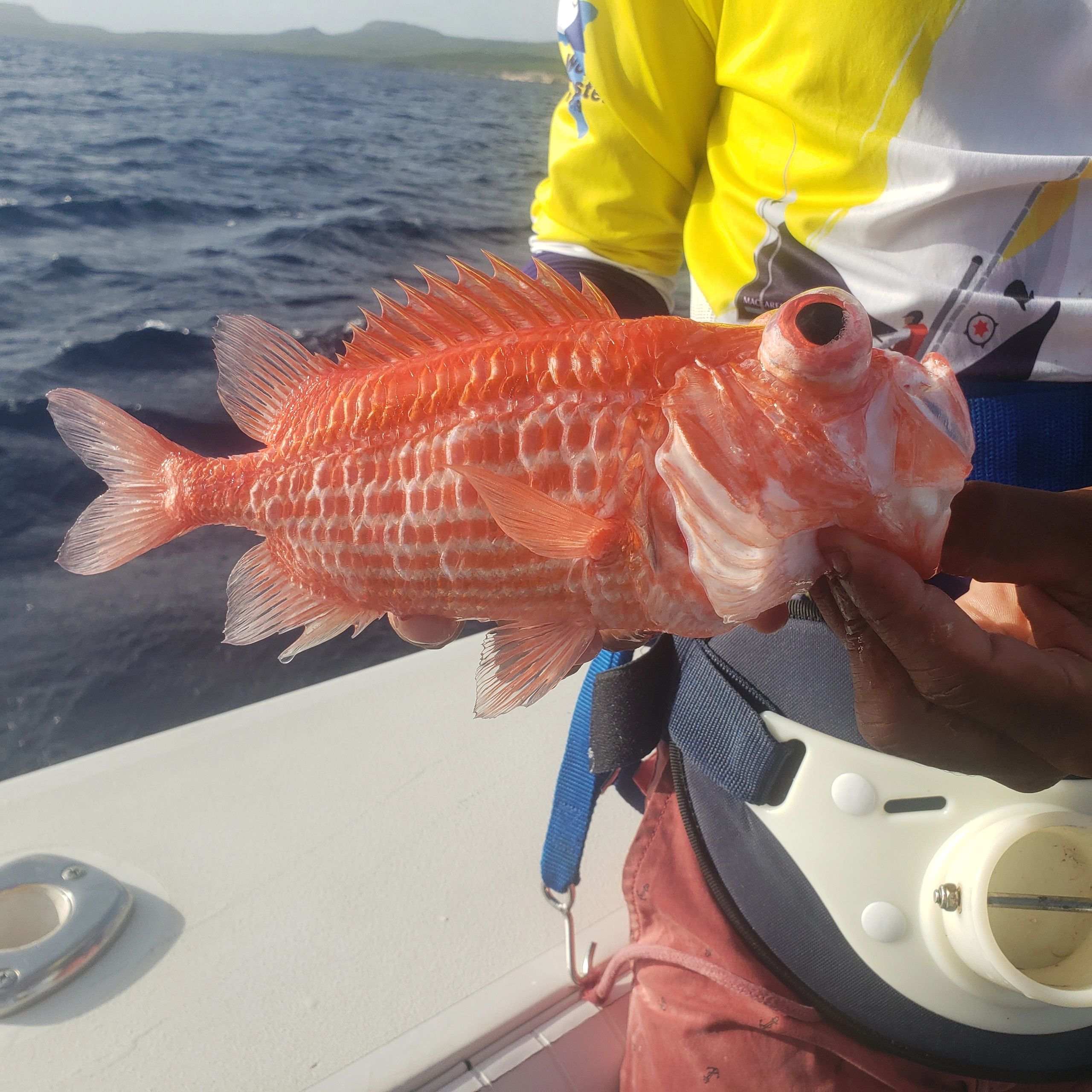 Biggest Vermilion Snapper in 35 Years Tops Current World Record