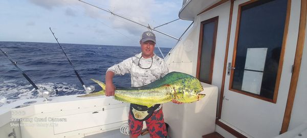 Bonaire fishing charters dorado mahi mahi