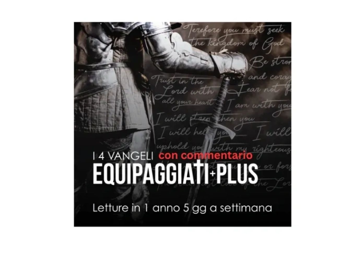 Lettura dei Vangeli Scopri i 4 Vangeli in un Anno