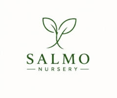 Salmo Nursery