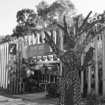 Artistic metal tree sculpture outside Yea Wetlands Discovery Centre.