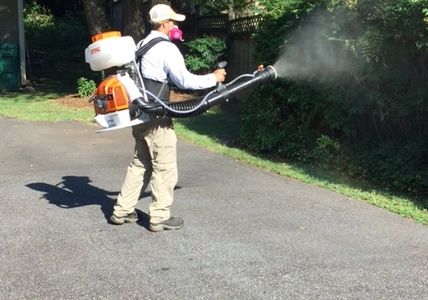 Person wearing protective gear spraying plants.