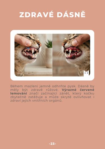 Comparison of healthy and inflamed cat gums with care advice.