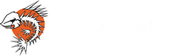 Fine Line Outdoors