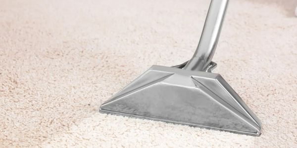 Professional hot water extraction cleaner removing dirt and stains from a carpet in glasgow