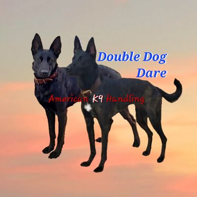 Three black dogs with text 'Double Dog Dare' and 'American K9 Handling' on a sunset background.