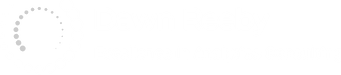 Excellence in analytics